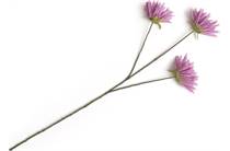Coco Maison COCO MAISON accessoire Dahlia Spider Spray kunstbloem H75cm Paars